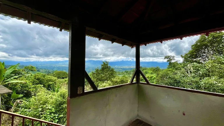 Agricultural Land in La Amistad