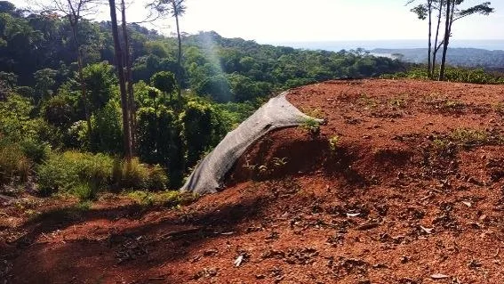 Home Construction Site in Bahía Ballena
