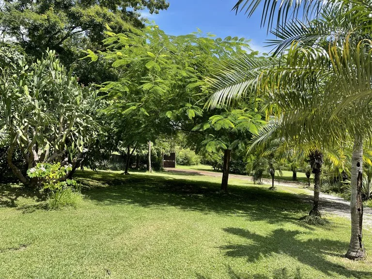 Agricultural Land in Copal