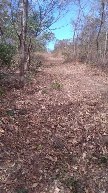 Agricultural Land in Bagaces