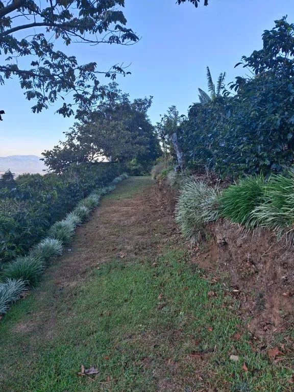 Development Parcel in San Isidro