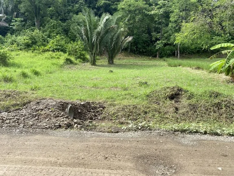 Home Construction Site in Playa Samara