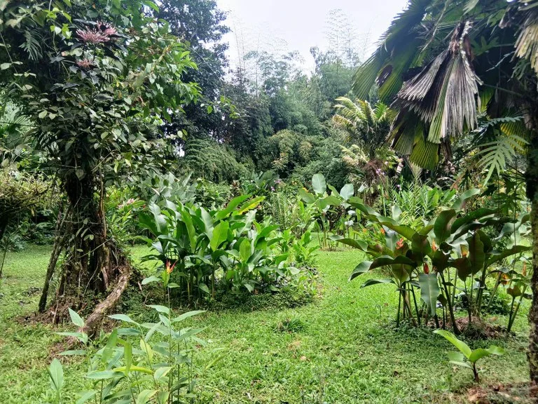 Hotel/Resort/Hostel in Horquetas