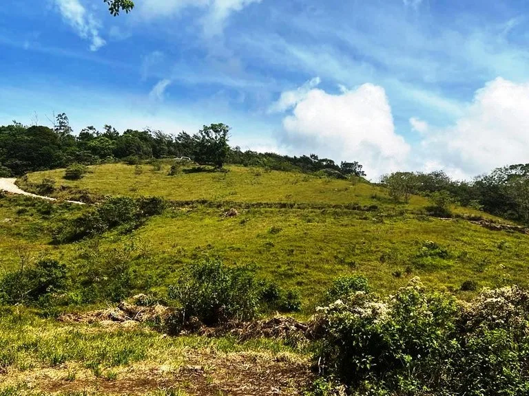 Agricultural Land in Río Piedras