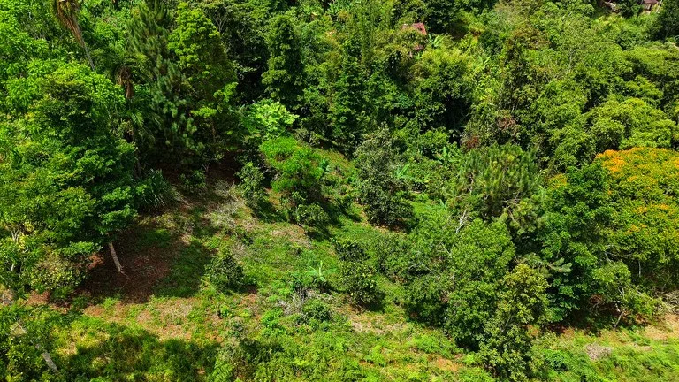 Home Construction Site in San Rafael Norte — photo 4