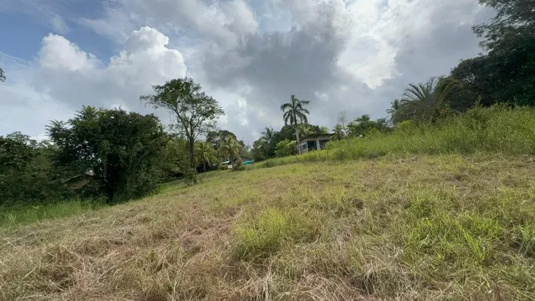 Mixed Use, Residential and Commercial in Delicias
