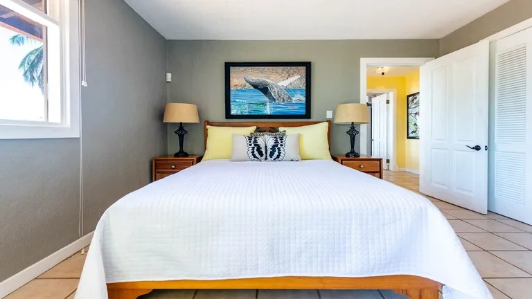 Villa in Playa Flamingo