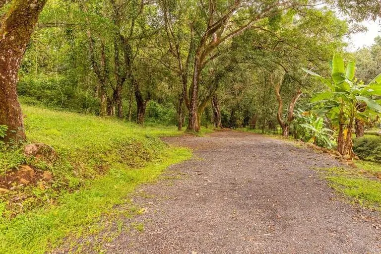 House in San Mateo de Alajuela