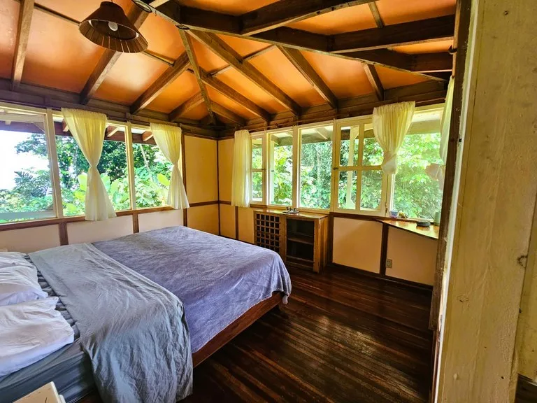 House in Puerto Viejo