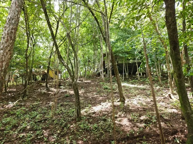 Villa in Playa San Juanillo