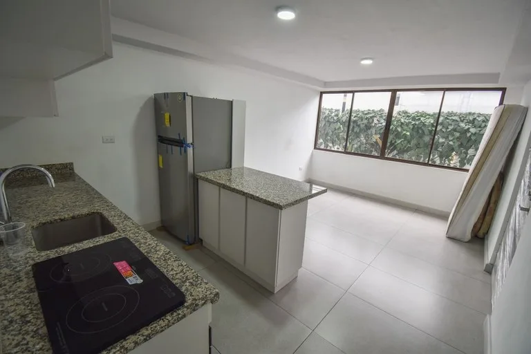 Apartment in Barrio Escalante