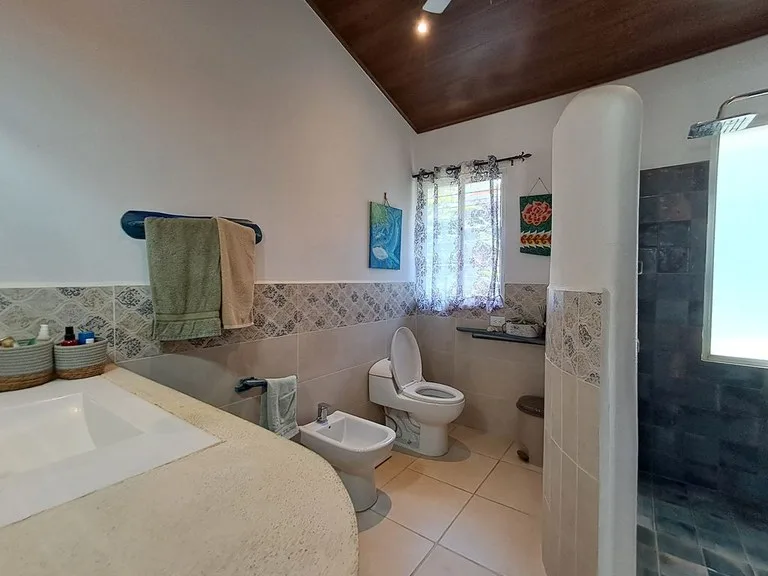 House in Playa Samara