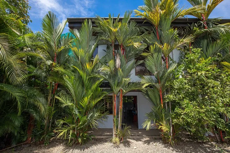 House in Uvita