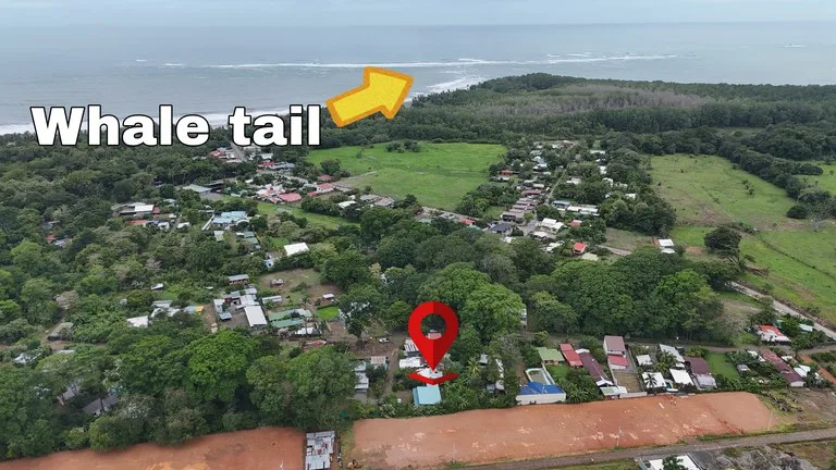 House in Uvita