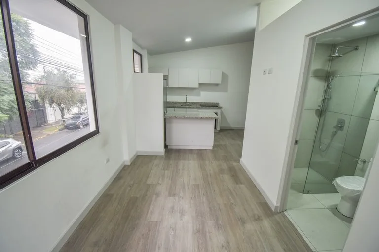 Apartment in Barrio Escalante — photo 3