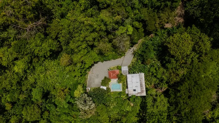 House in Uvita