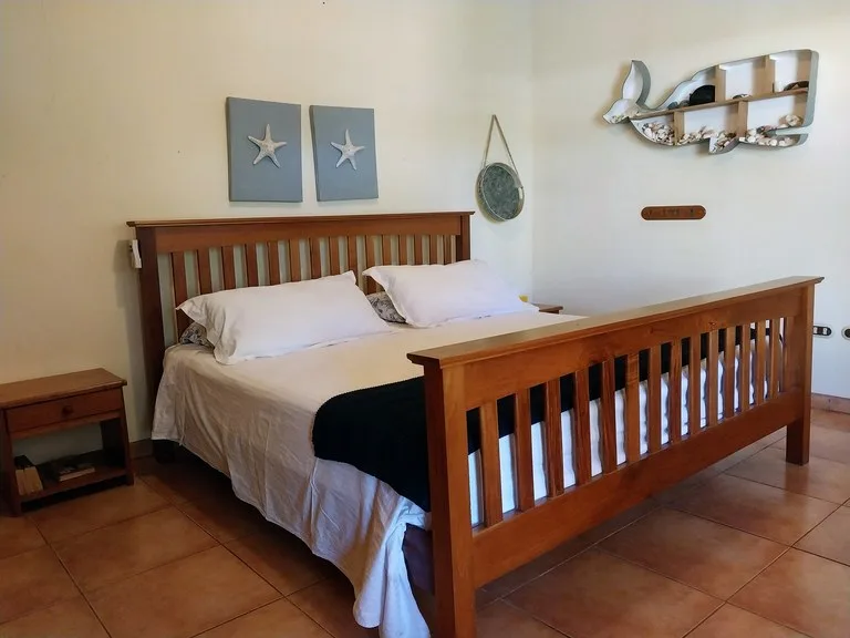 House in Playa Samara