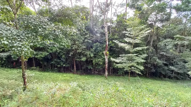 House in Platanillo de Dominical