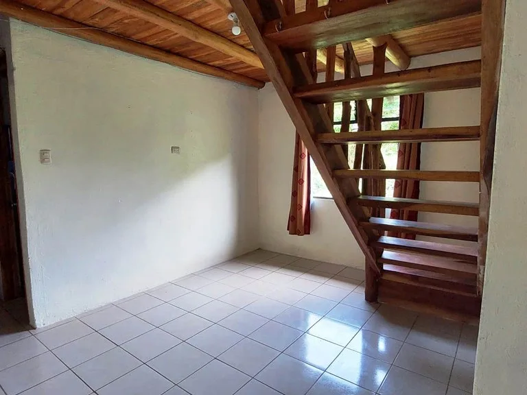 House in Nuevo Arenal