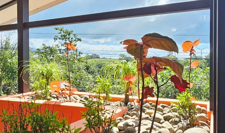 House in Quebrada Azul