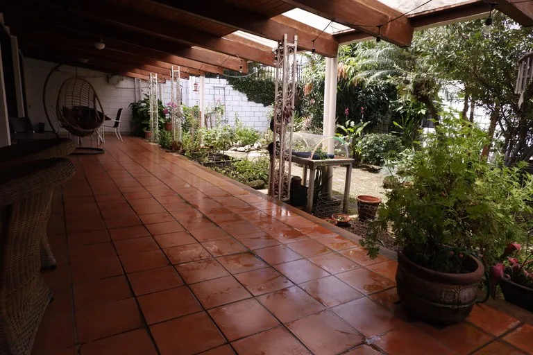 House in Los Laureles — photo 2