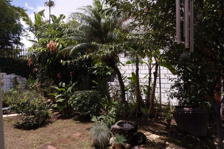 House in Los Laureles — photo 3