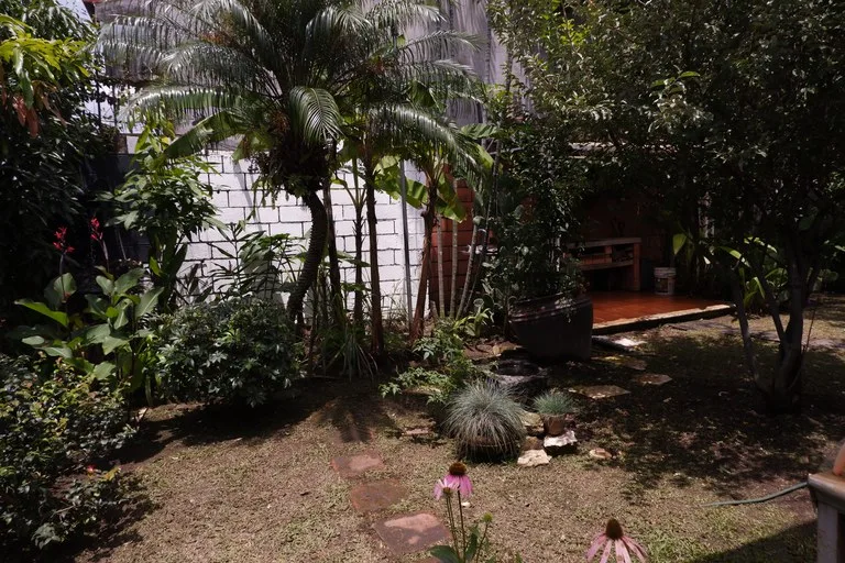 House in Los Laureles — photo 5