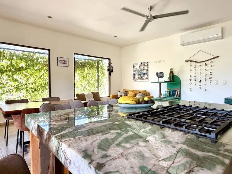 House in Playa Organos
