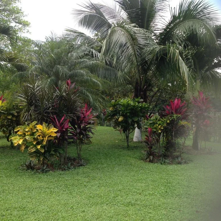 House in Higuito