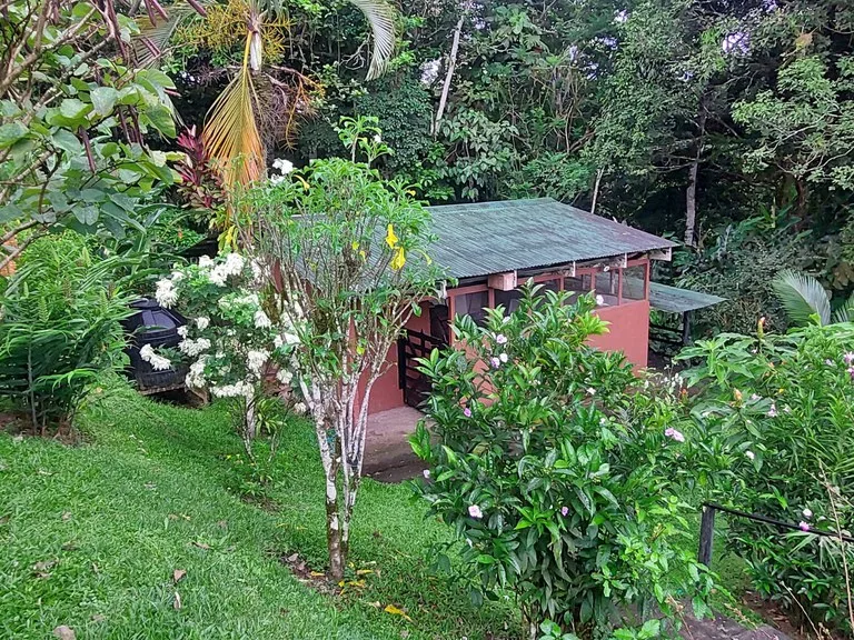 House in Nuevo Tronadora