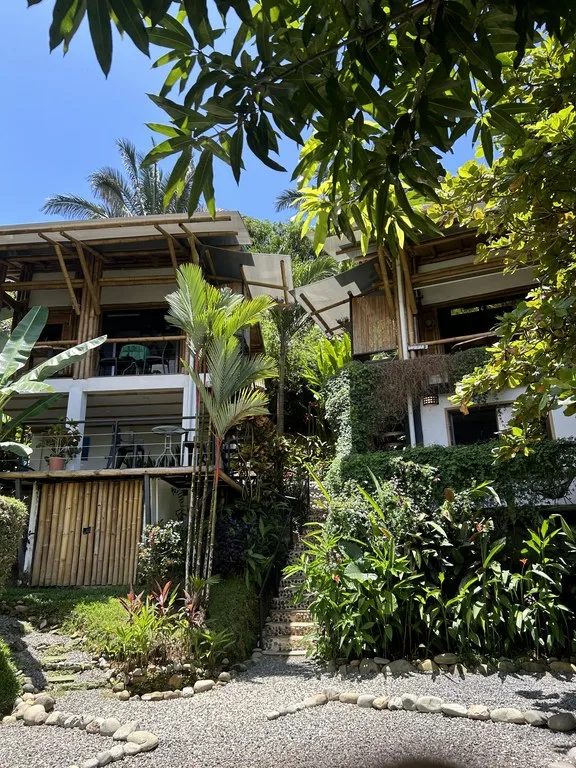 Commercial in Bahía Ballena