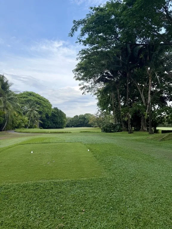 House in Los Delfines Golf & Country Club