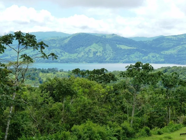 House in Arenal