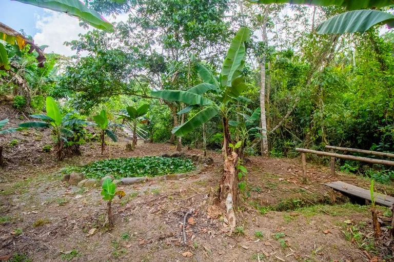 House in Cajón
