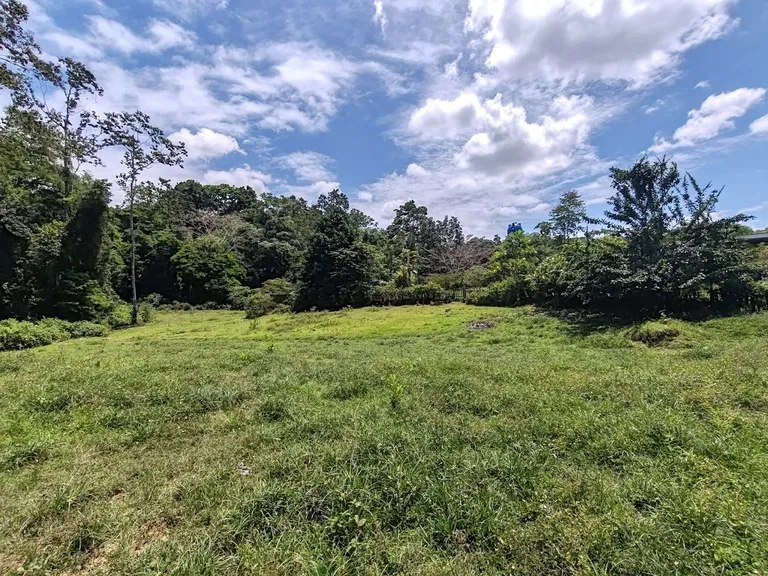 House in Puerto Viejo