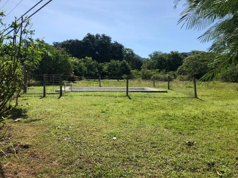Cattle farm in Copal — photo 5