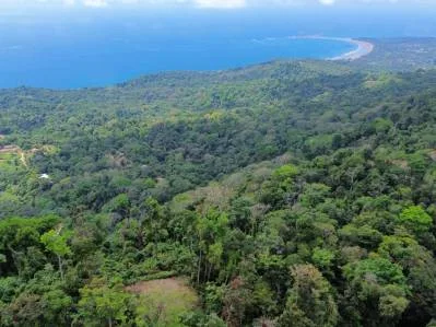 Una propiedad en el Paraíso con Vistas Oceánicas Inigualables y Posibilidades Infinitas en Uvita, photo 3