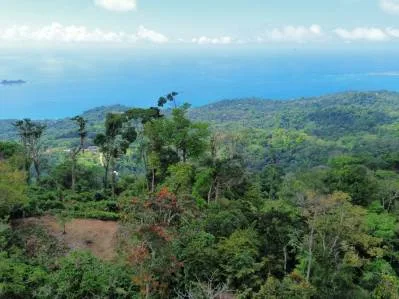 Una propiedad en el Paraíso con Vistas Oceánicas Inigualables y Posibilidades Infinitas en Uvita, photo 4