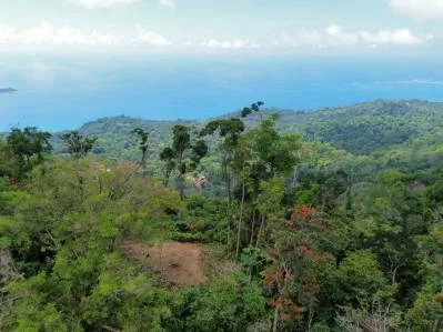 Una propiedad en el Paraíso con Vistas Oceánicas Inigualables y Posibilidades Infinitas en Uvita, photo 5