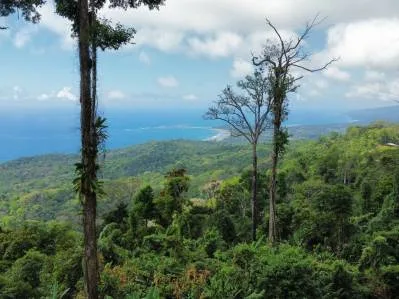 Una propiedad en el Paraíso con Vistas Oceánicas Inigualables y Posibilidades Infinitas en Uvita, photo 6