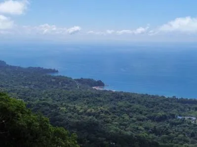 Una propiedad en el Paraíso con Vistas Oceánicas Inigualables y Posibilidades Infinitas en Uvita, photo 7