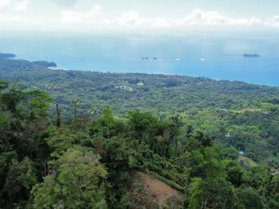 Una propiedad en el Paraíso con Vistas Oceánicas Inigualables y Posibilidades Infinitas en Uvita, photo 8