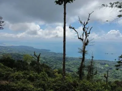 Una propiedad en el Paraíso con Vistas Oceánicas Inigualables y Posibilidades Infinitas en Uvita, photo 10
