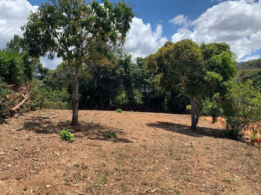 Venta de Lote en Corralillo, Cartago. RAH 24-1699 - Venta en Corralillo
