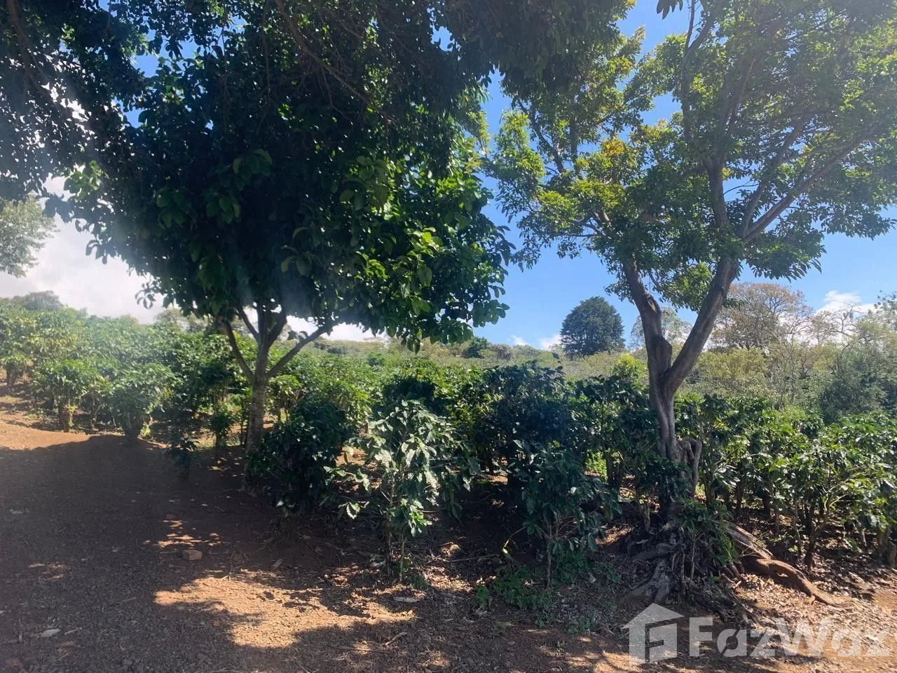 Land for Sale in San Rafael, Heredia for $5,770,931, photo 12