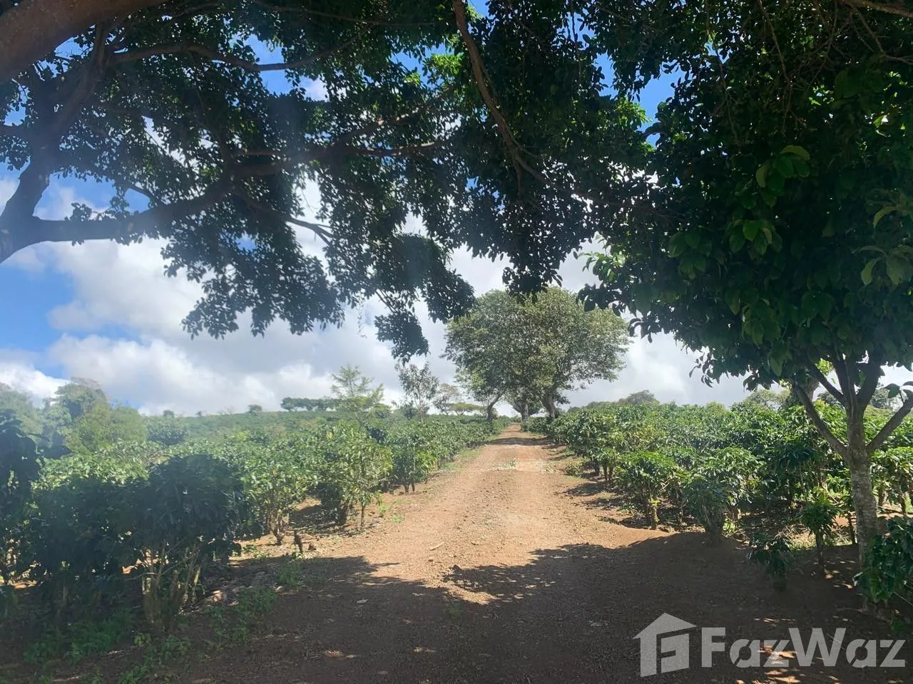 Land for Sale in San Rafael, Heredia for $5,770,931, photo 4