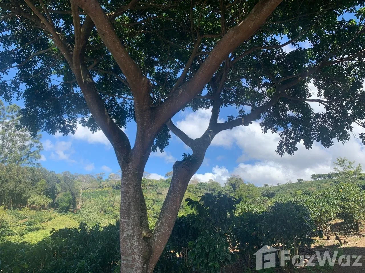 Land for Sale in San Rafael, Heredia for $5,770,931, photo 5