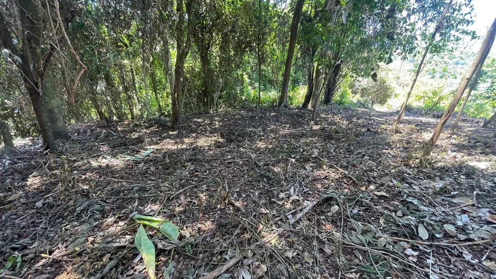 PROPERTY WITH OCEAN VIEW, IN PORTALON – 22 ACRES