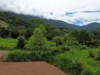 Caracara Ridge Impresionantes vistas a las montañas lote n.° 23, photo 9