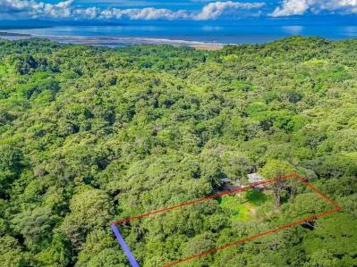 Lote en la selva con borde de río – Camine hasta Plaza Ventanas, Ojochal, photo 3